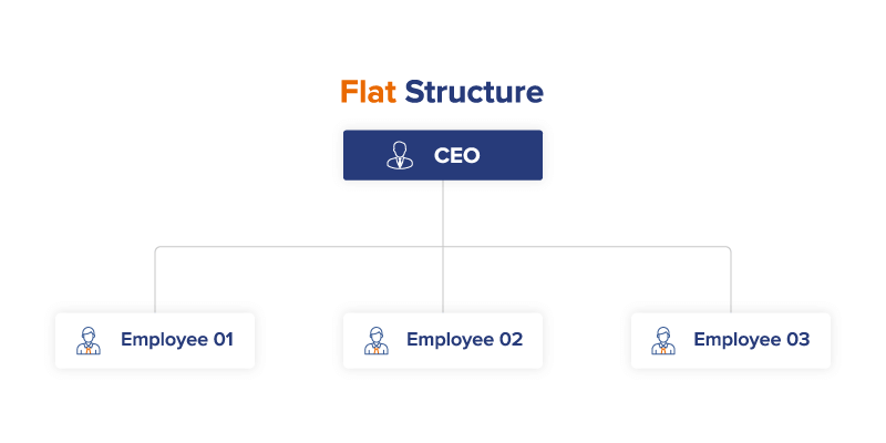 flat structure