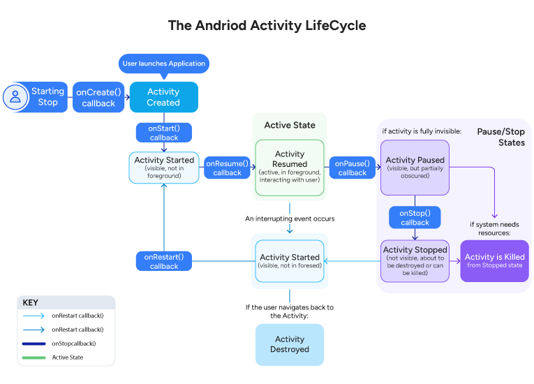 How does the Activity Lifecycle Work?