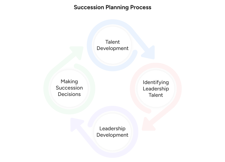 Succession Planning Process